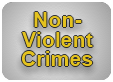 Non-Violent Crimes